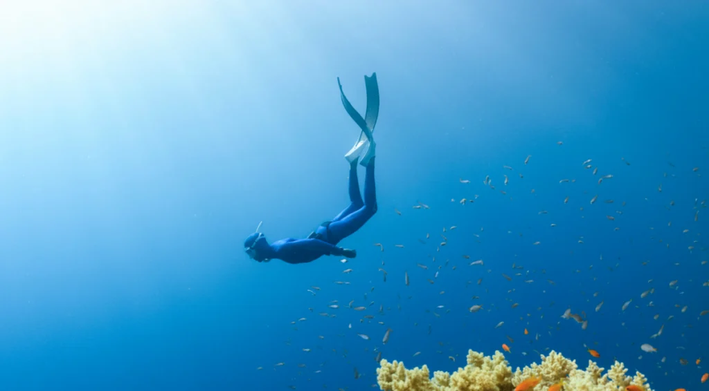 Deep dive: Tuum’s cards module